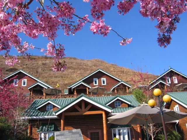 清境豐田桂林山莊民宿 Zsenaj Kültér fotó
